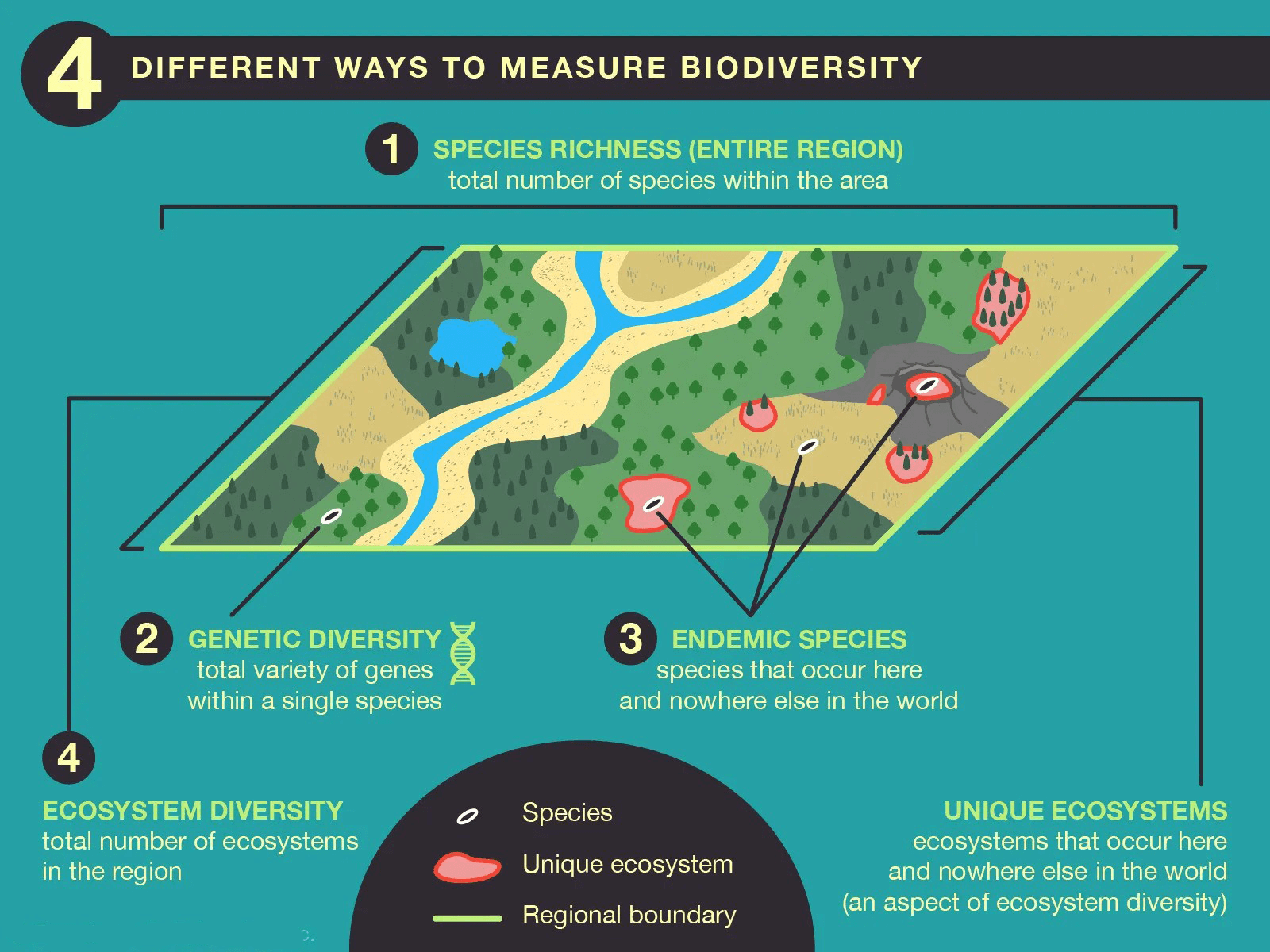 Four-ways-measure-biodiversity